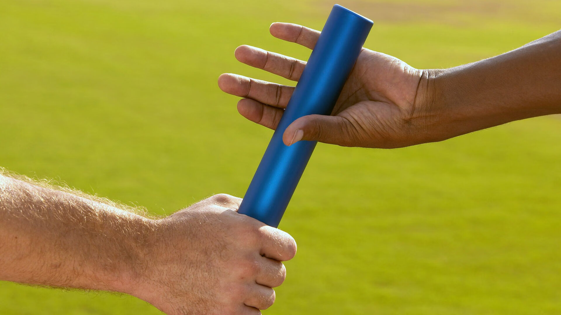  利爪大德鲁伊前置任务 